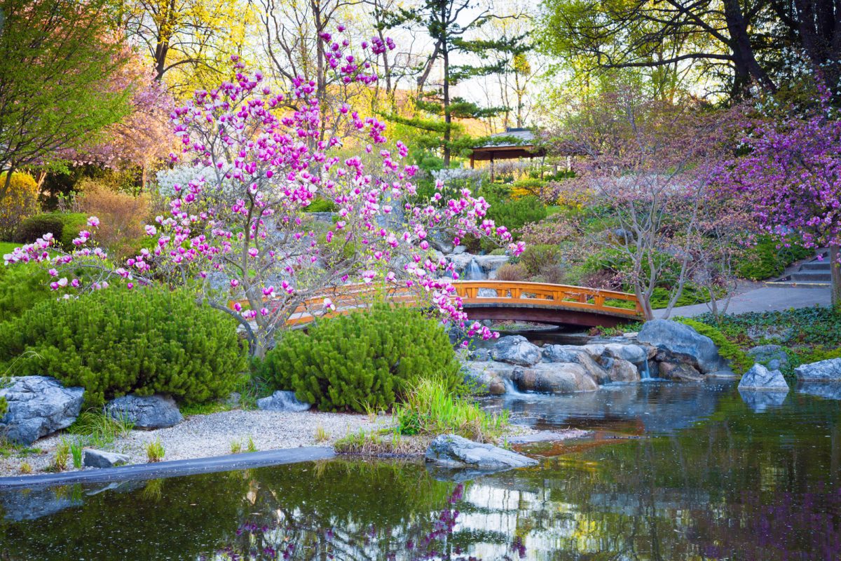 garden-Japanese